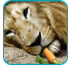 vegaleeuwsjabloon_thb_2011kopie