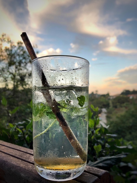LasTerrazas ElRomero mojito
